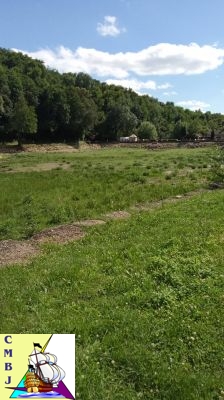 de l'herbe à Rosière